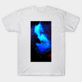 DIVER SWIMMING INTO A CAVE WITH GLASSFISH T-Shirt